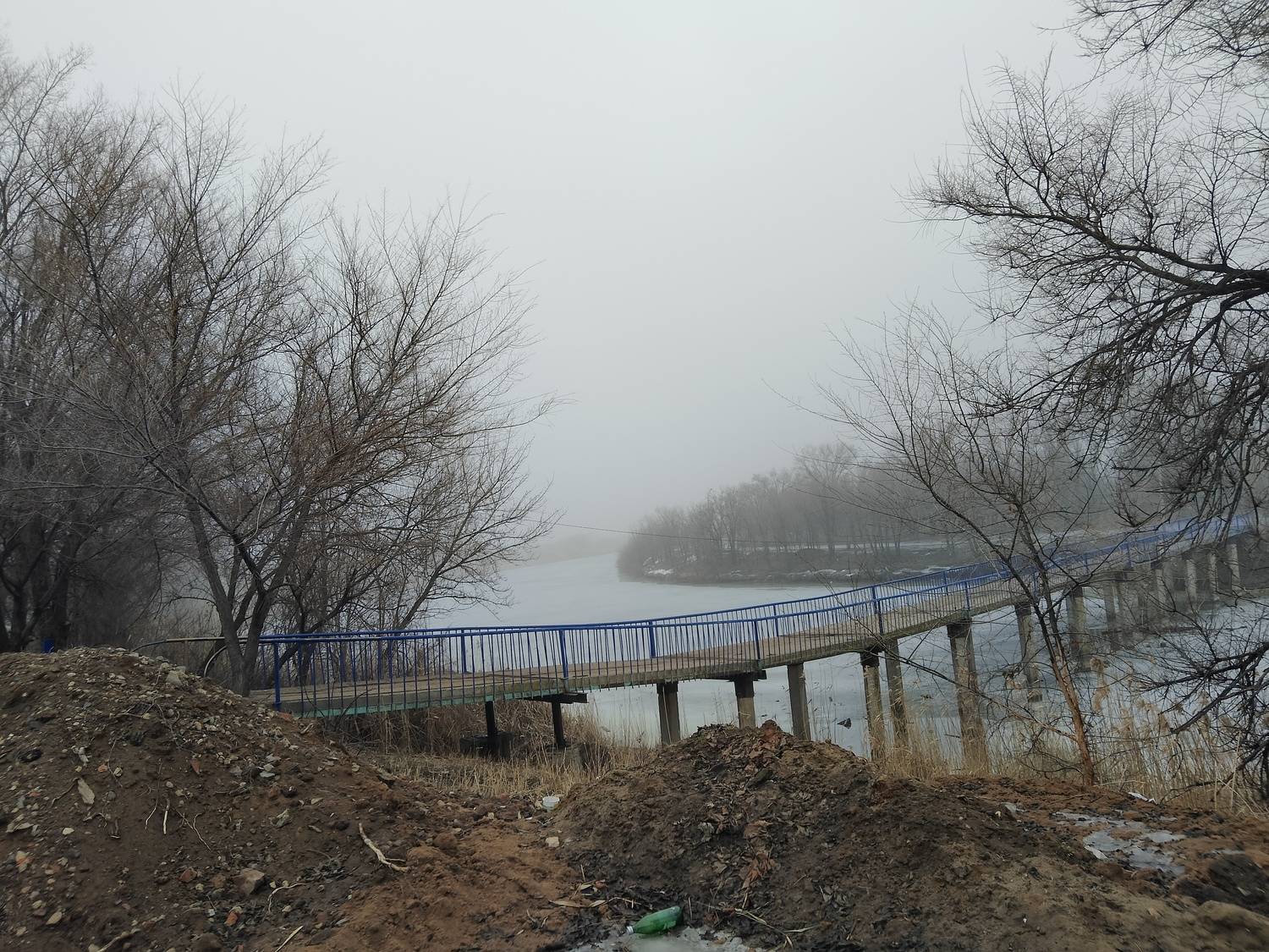 Photo #11846792
