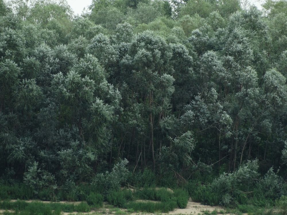 Photograph by Алексей Чурушкин