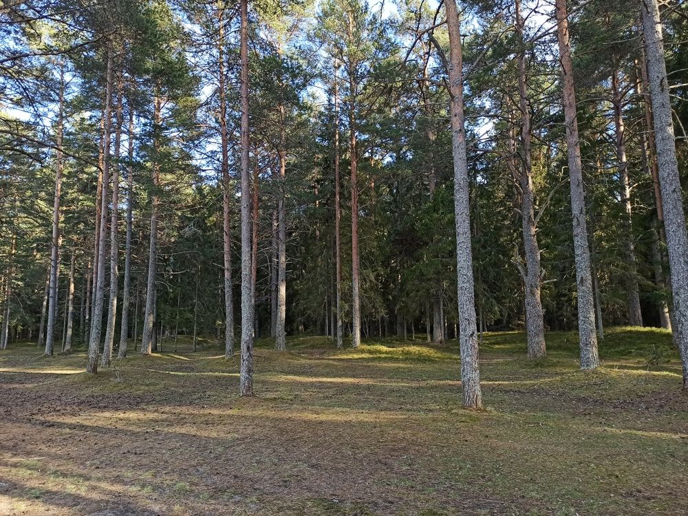 Photograph by Анна Давыдова