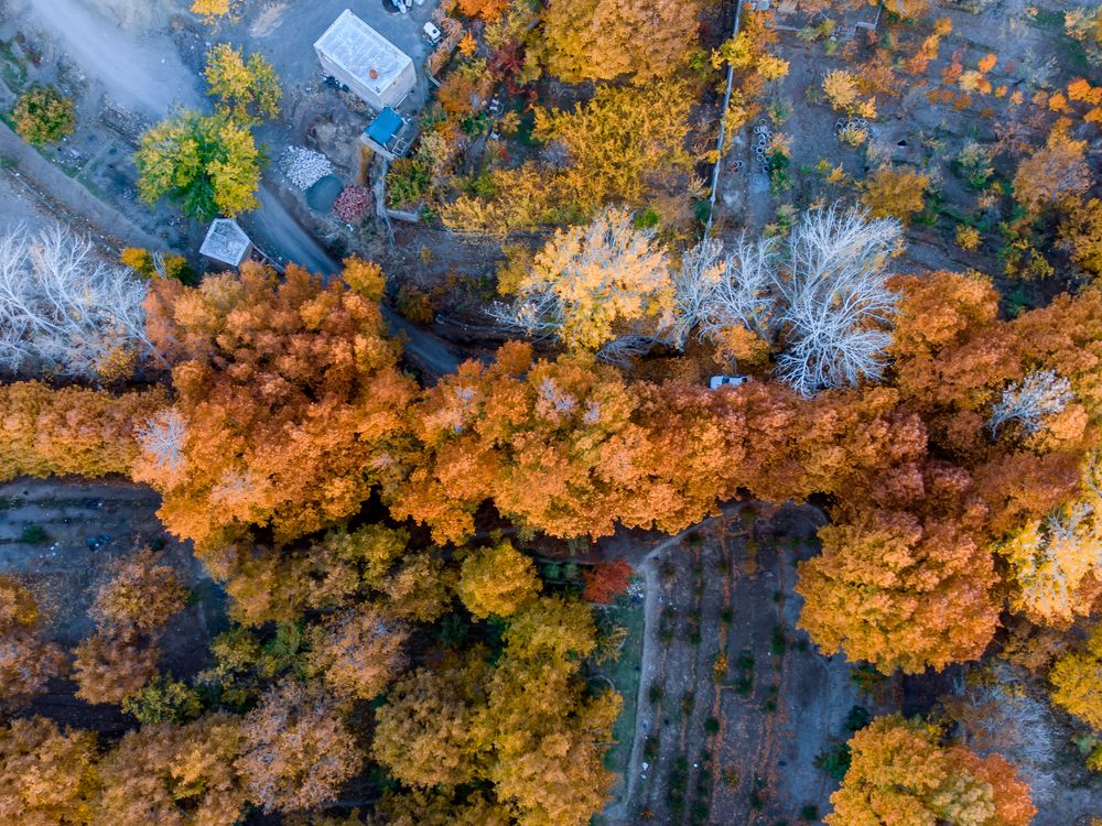 Фотография автора Mojtaba Gitinezhad