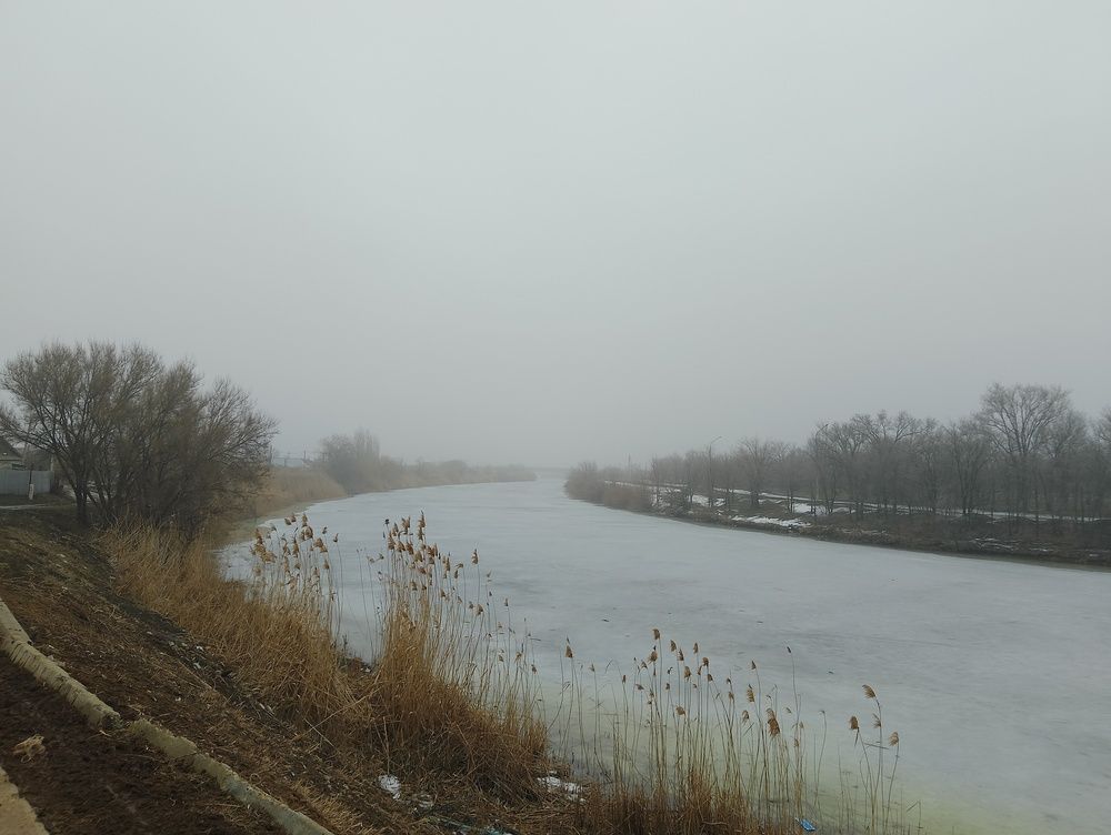 Photo #11846836