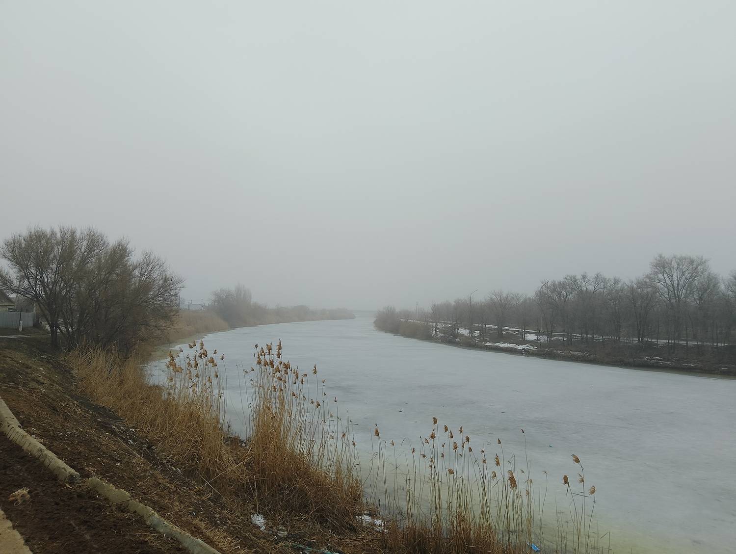 Photo #11846836