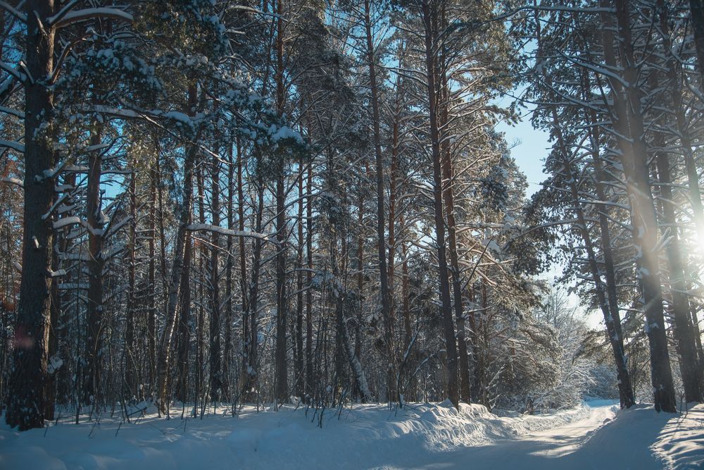 Фотография автора Войнов Дмитрий