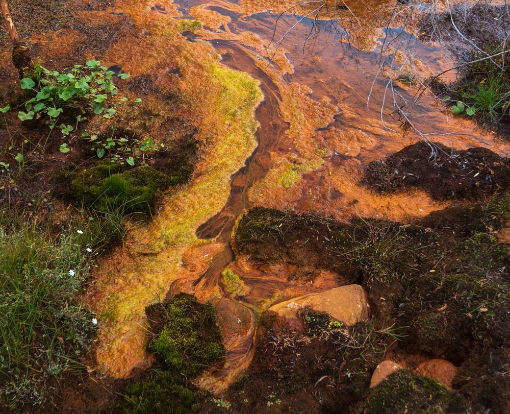 Природа рисует и ваяет