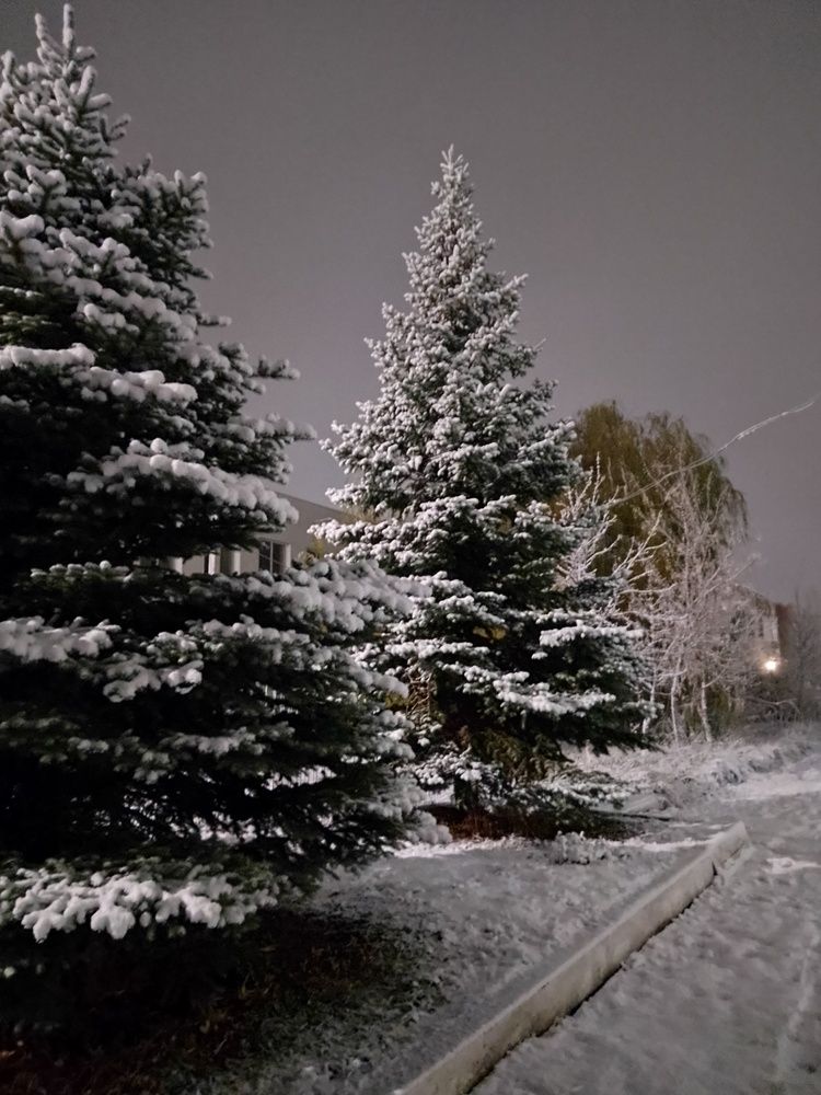 Photo #11846879