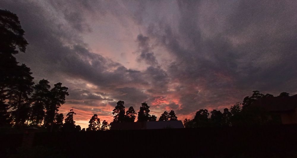 Photograph by Ляля Ильинская