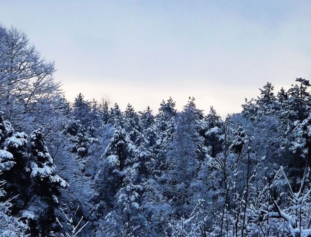 Photograph by Ляля Ильинская