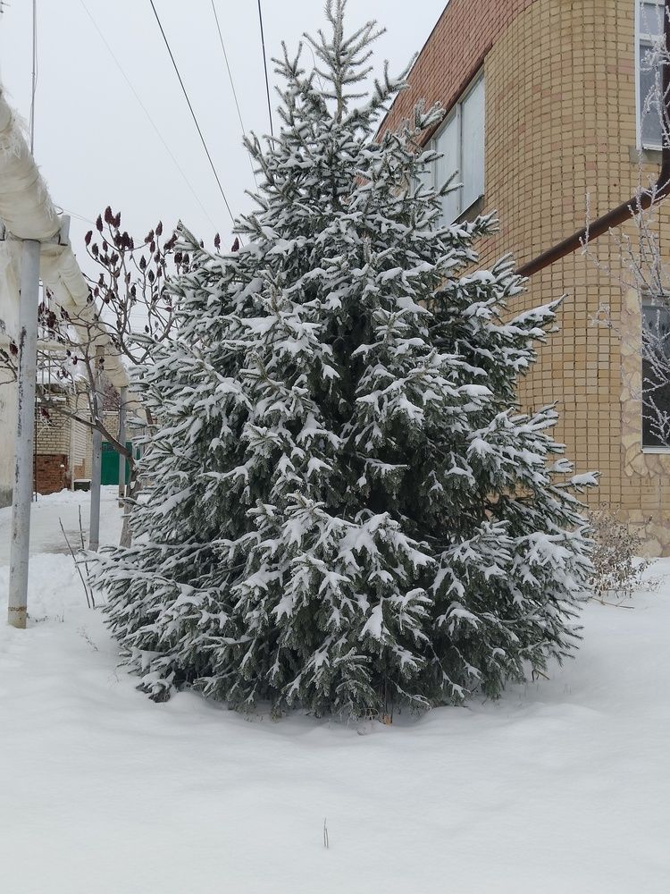 Photo #11846925