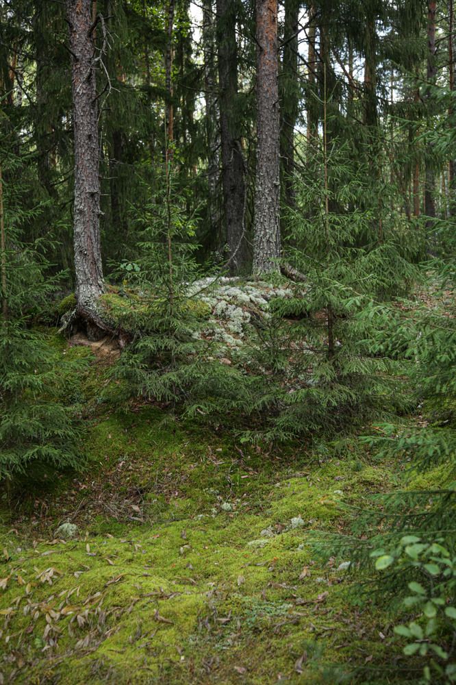 Photograph by Светлана Кавказская