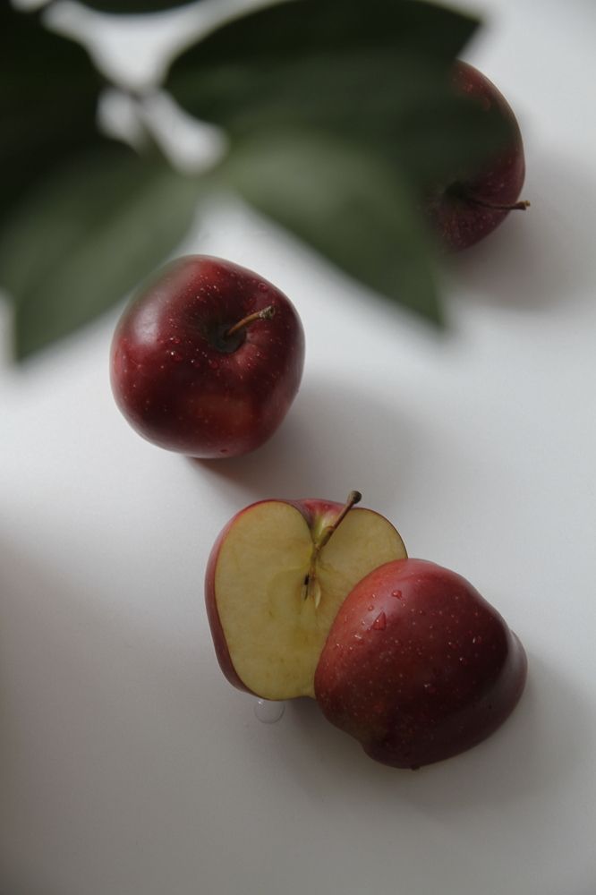 Photograph by Екатерина