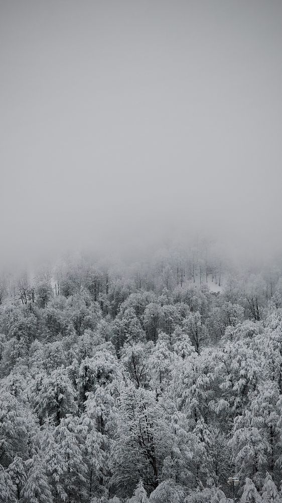 Photograph by Наталья Гришаева