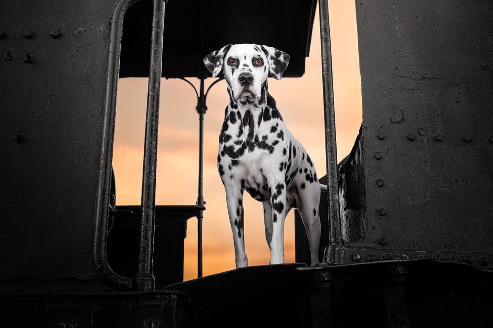 Photograph by Leticia Hernandez