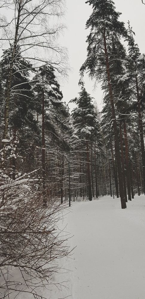 Фотография автора Джаф