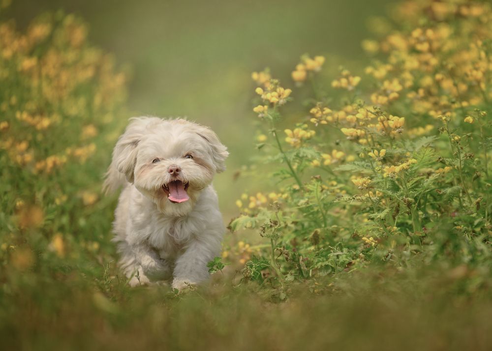 Photograph by Patricia Barros