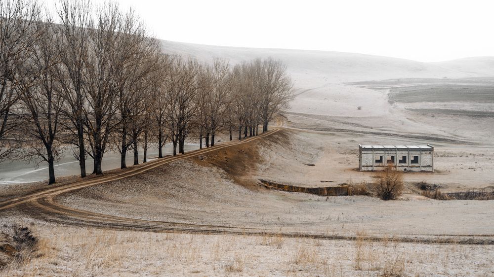 Фотография автора Oleg Suhenko