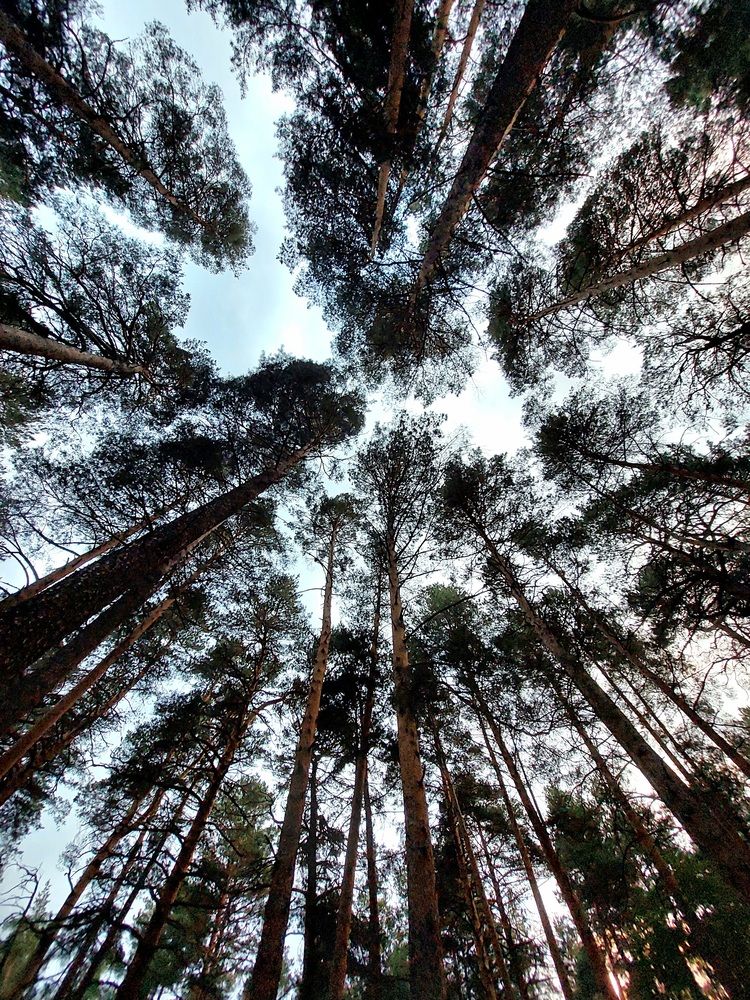 Photograph by Ксения Петриман