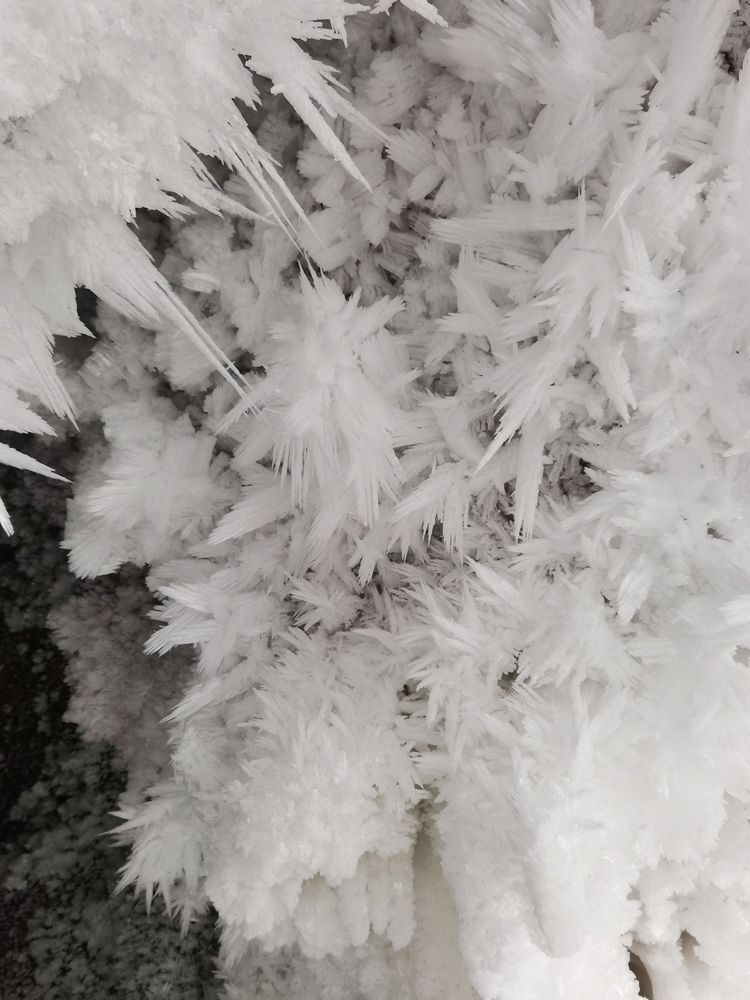 Рыцарь льда