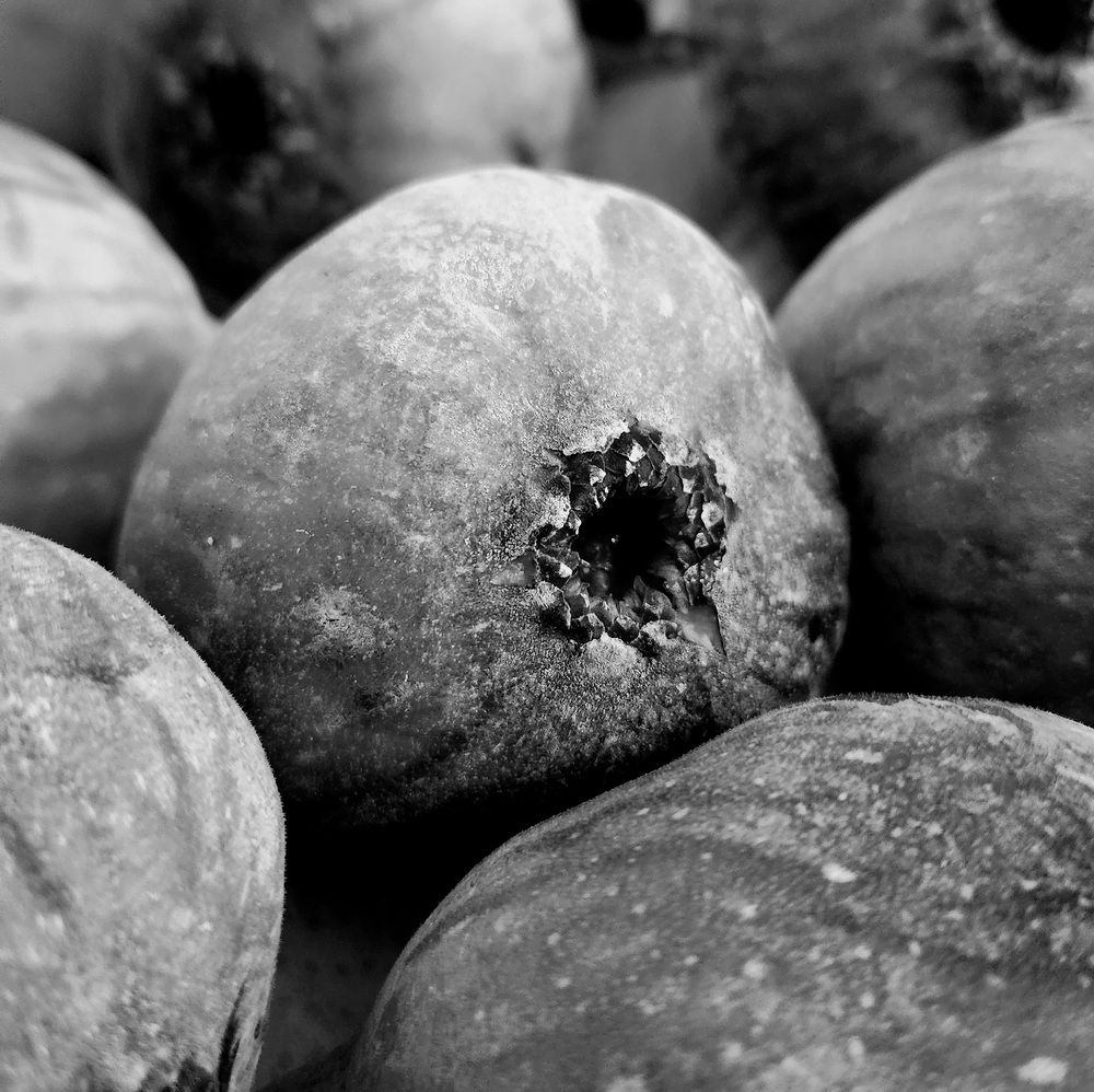 Фотография автора Katia Maria Aguiar Fernandes