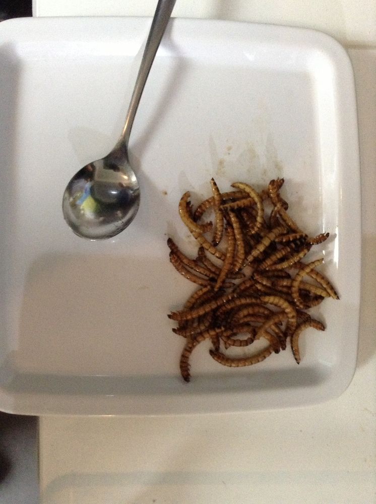 Фотография автора Chorche Prigo