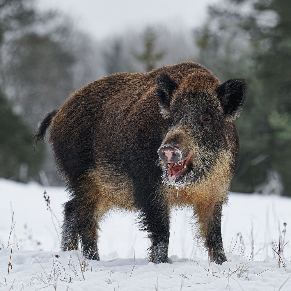 Photograph by Анжелика Титова