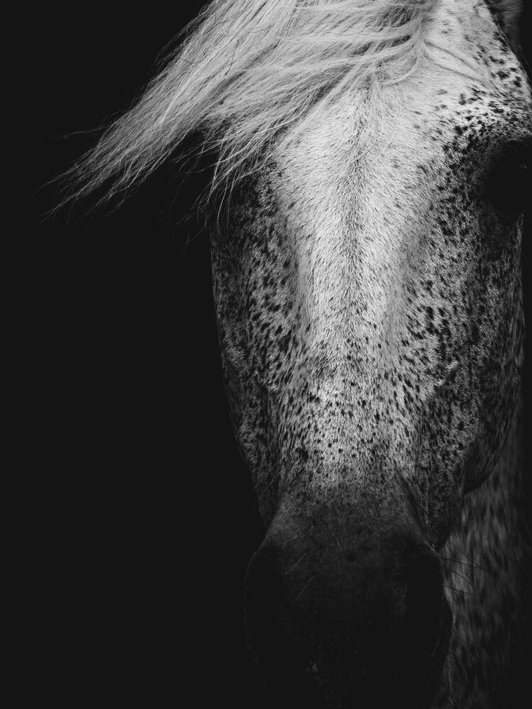 Photograph by Giuseppe Catalano