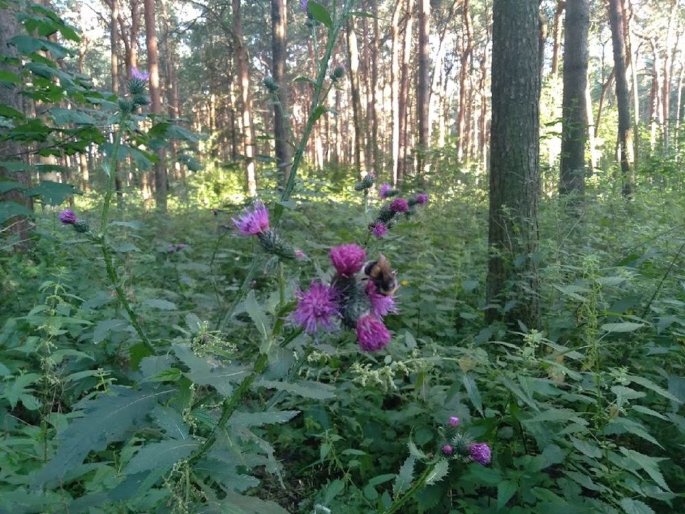 Photograph by Ася Кузьмина