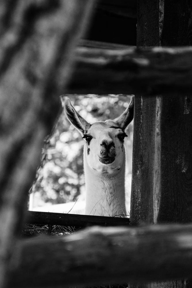 Photograph by Nataly Kiru