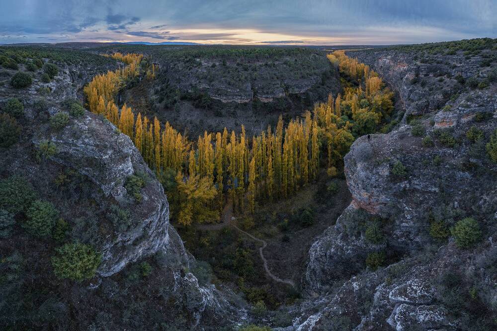 Photograph by Oscar Lata