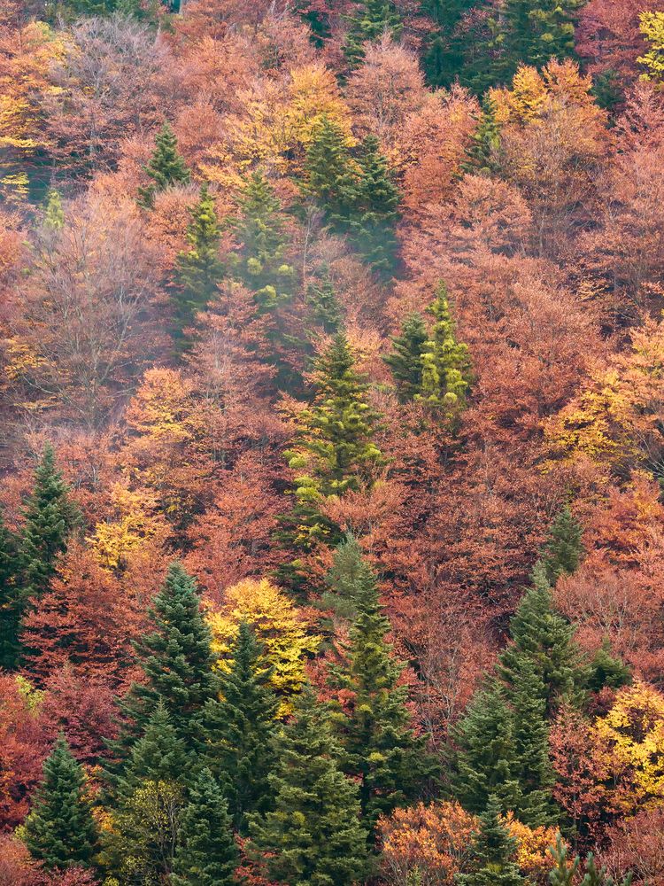 Photograph by Oscar Lata