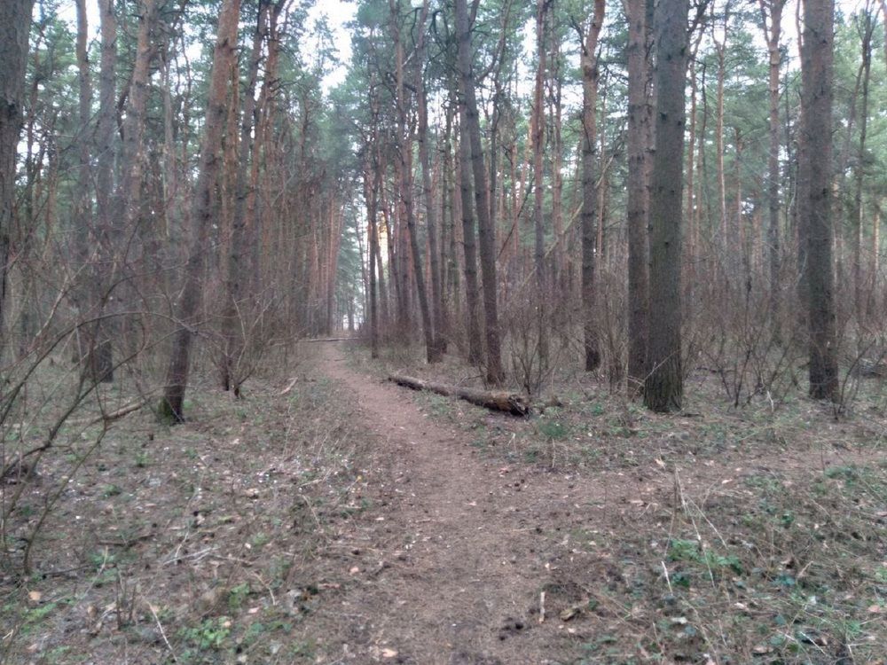 Photograph by Ася Кузьмина