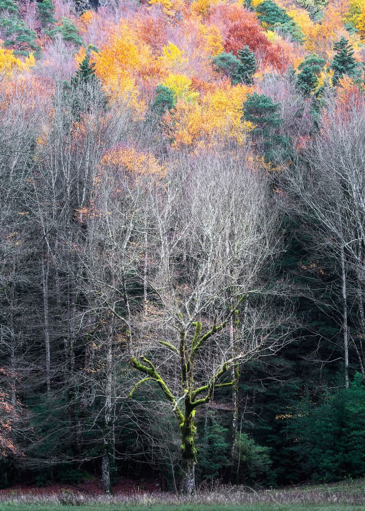 Photograph by Oscar Lata