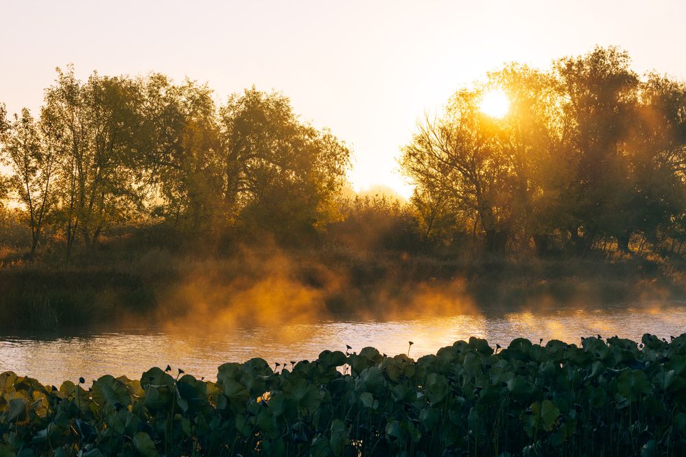 Photograph by Александр Шандов