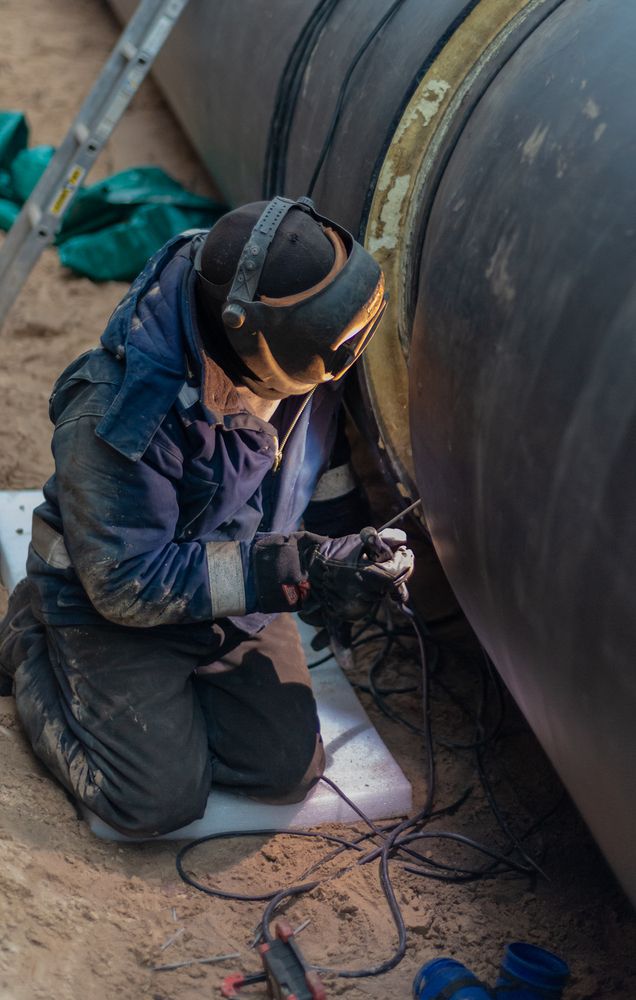 Фотография автора Aлексей Игнатьев