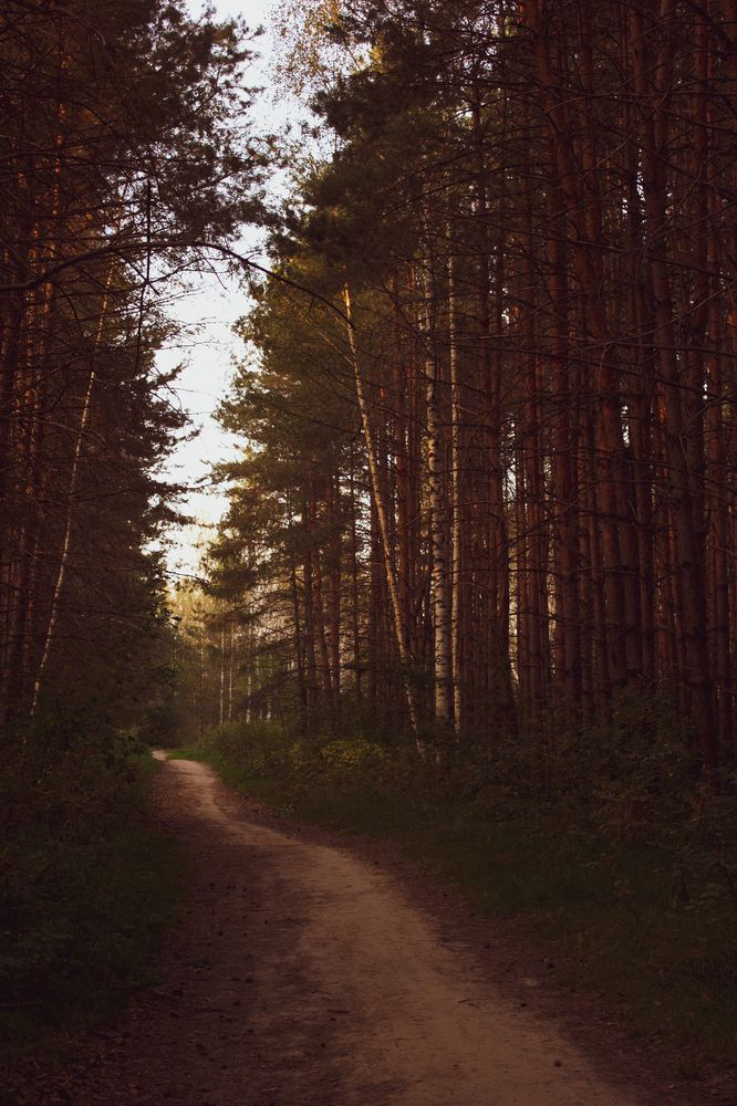 Photograph by Василиса Новикова
