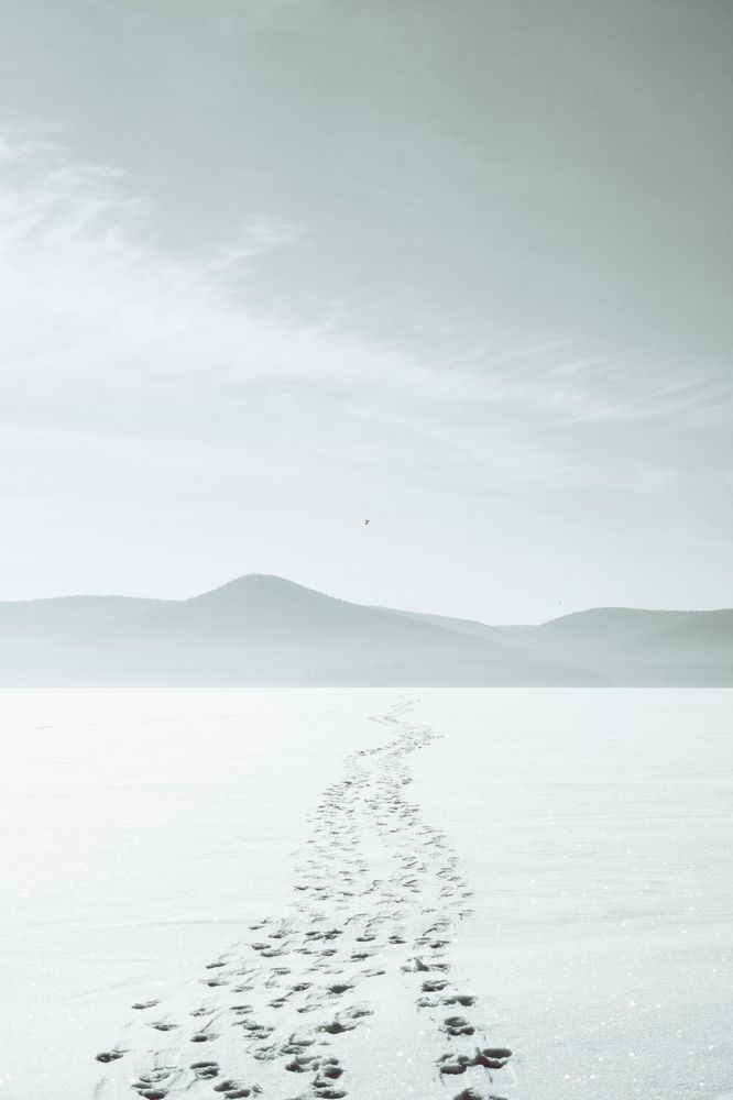 Фотография автора Александр Крапачев