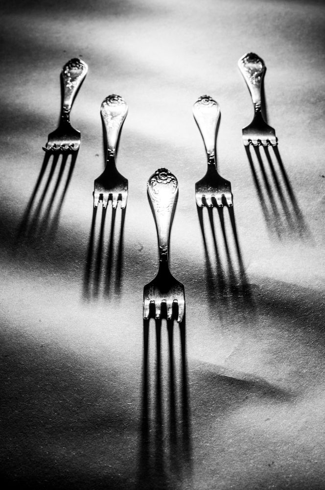 Фотография автора Василиса Новикова