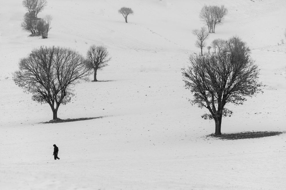 Photograph by Edris Khosravizadeh