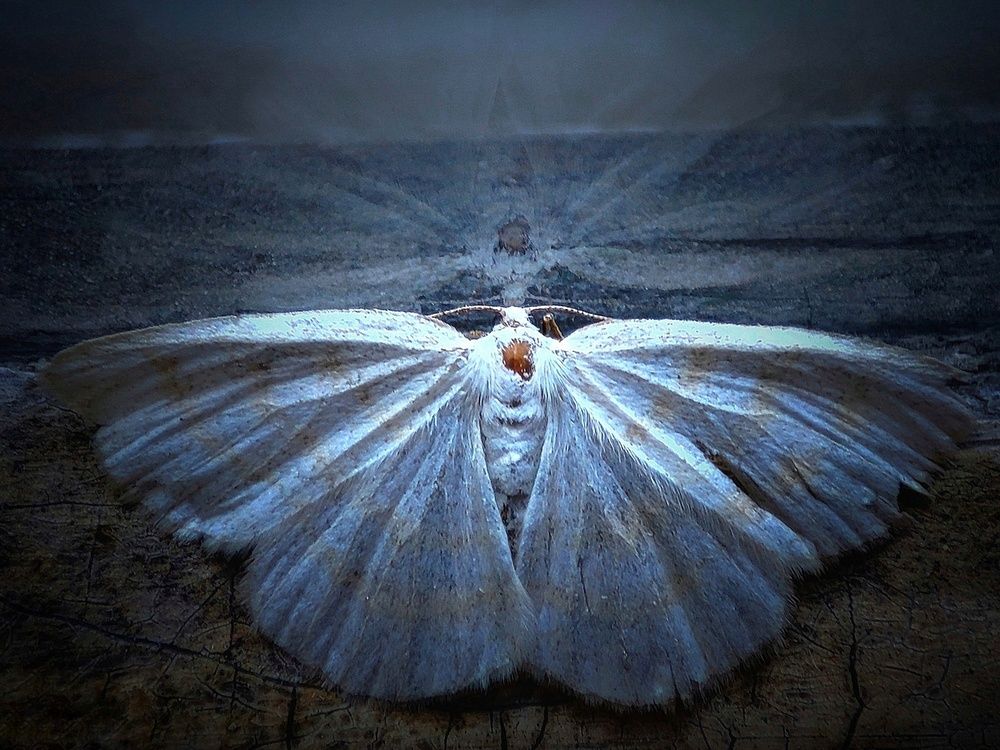 Фотография автора Ольга Маклакова