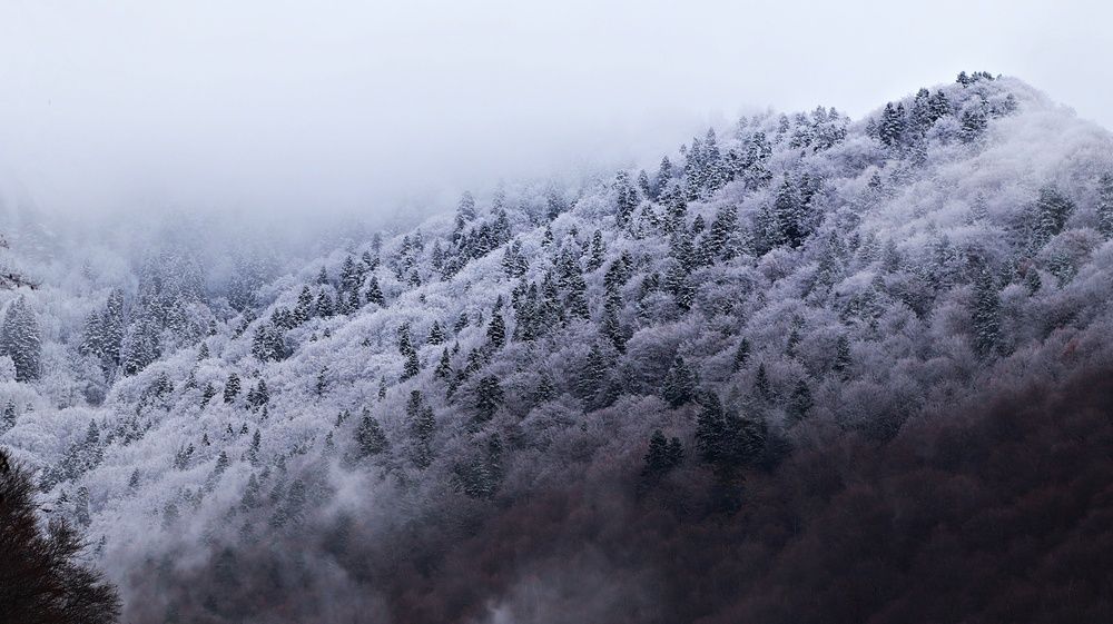 Photograph by Donka Vladimirova