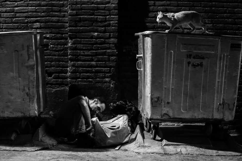 Photograph by Alireza Partovi