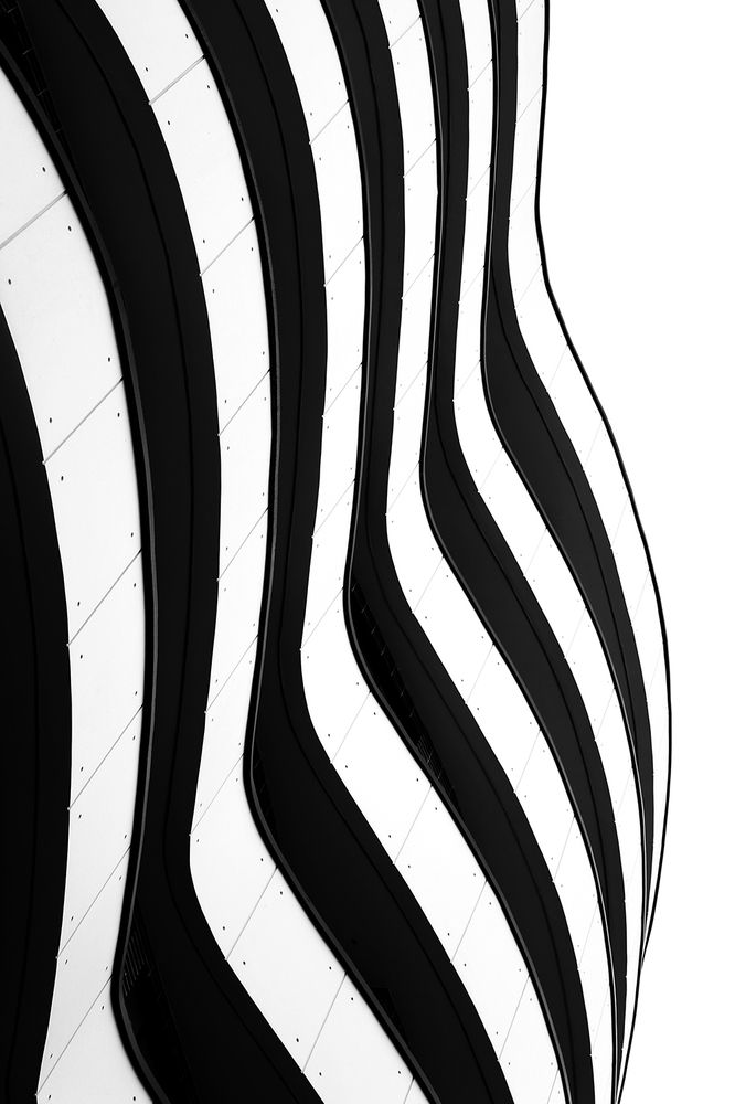 Photograph by Reyhane ajorloo