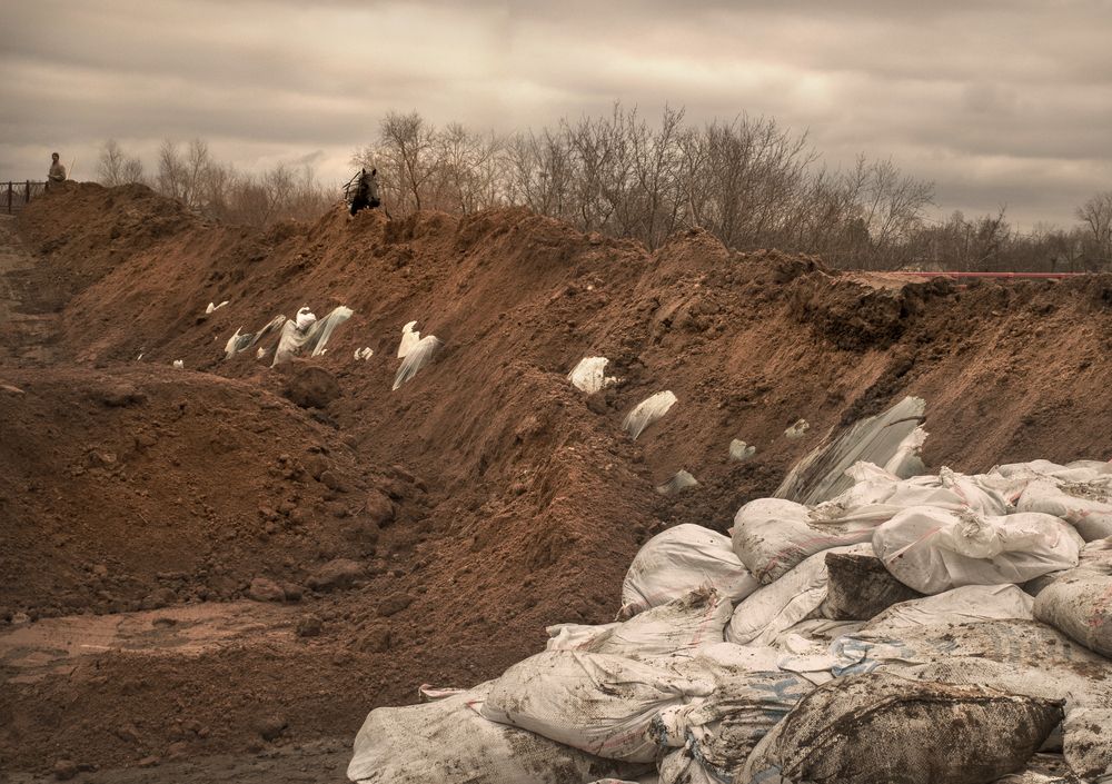 Фотография автора Наталья Новикова