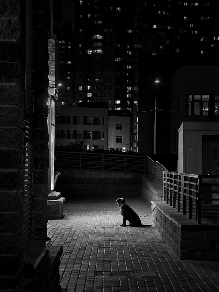 Photograph by Михаил Азаров