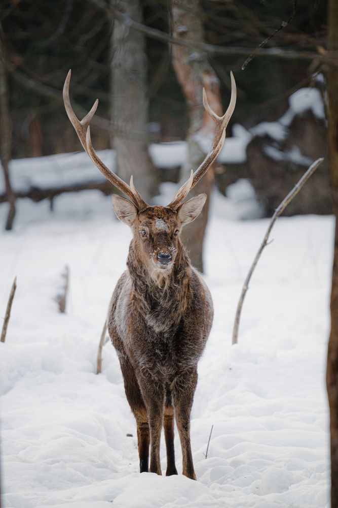 Photograph by Олег Гуляков