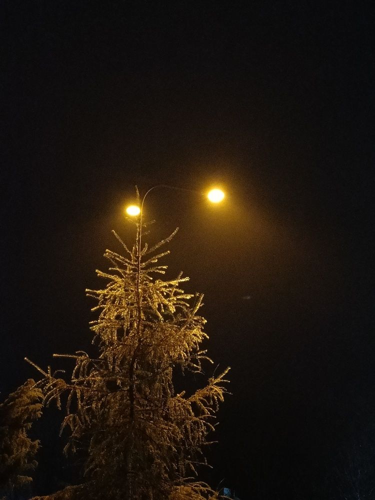 Photograph by Карина Слабкая