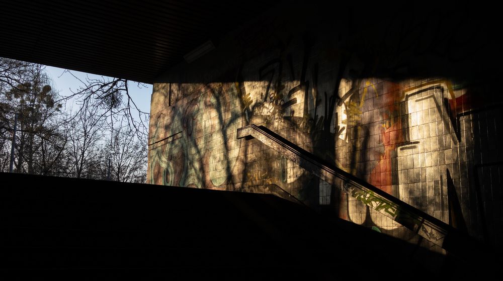 Photograph by andrey denisov