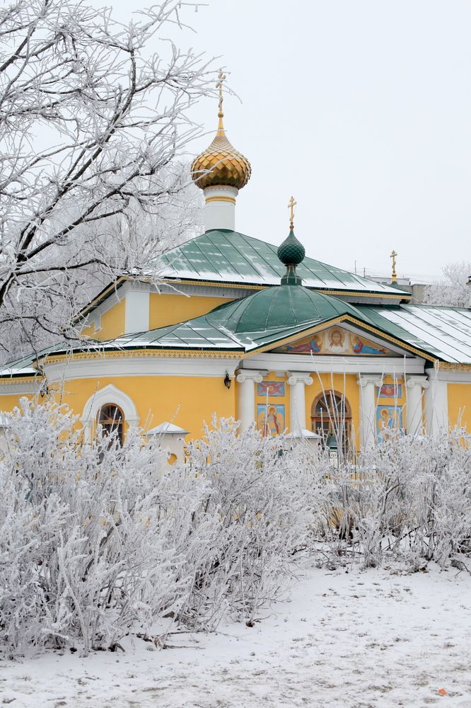 В снежном убранстве