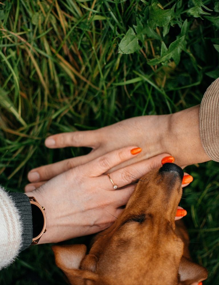 Photograph by Наталья Мерончук