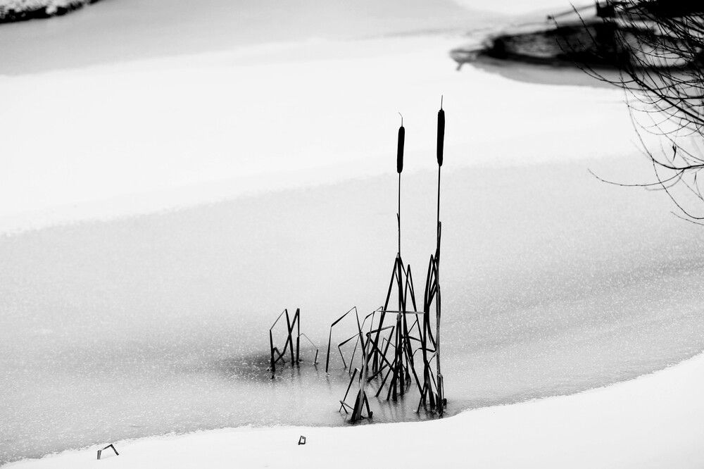 Photograph by Вера Сдвижкова