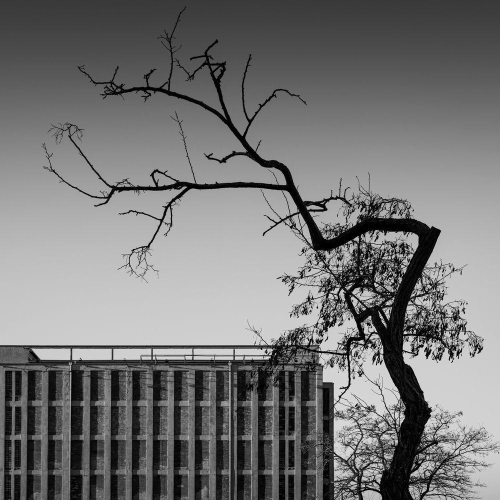 Photograph by Tomasz Dunajski